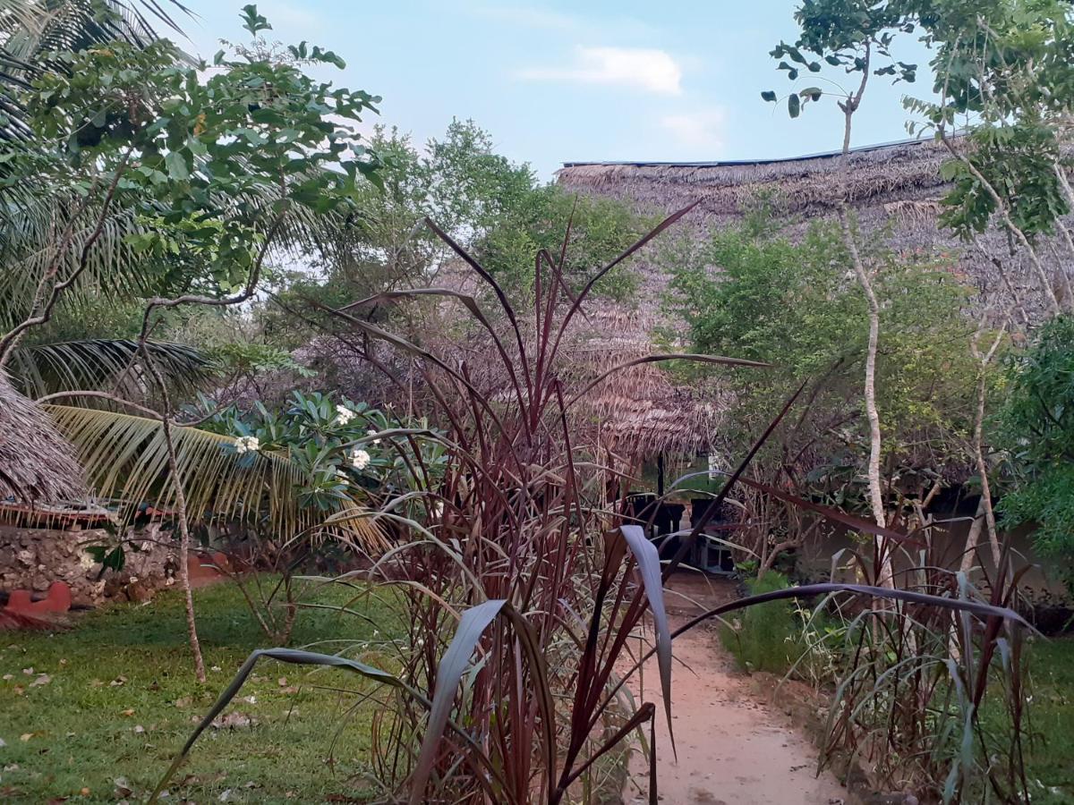 Verani Gecko Nature Lodge Home Of Swahili Divers The Best Dive Center And Famous Gecko Restaurant מראה חיצוני תמונה