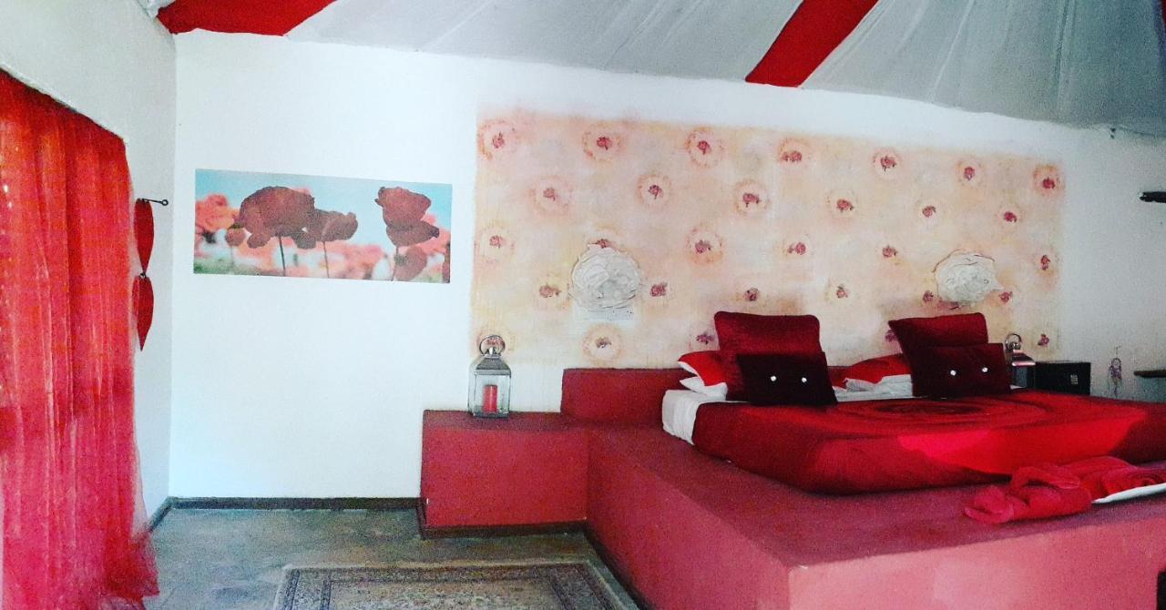 Verani Gecko Nature Lodge Home Of Swahili Divers The Best Dive Center And Famous Gecko Restaurant מראה חיצוני תמונה