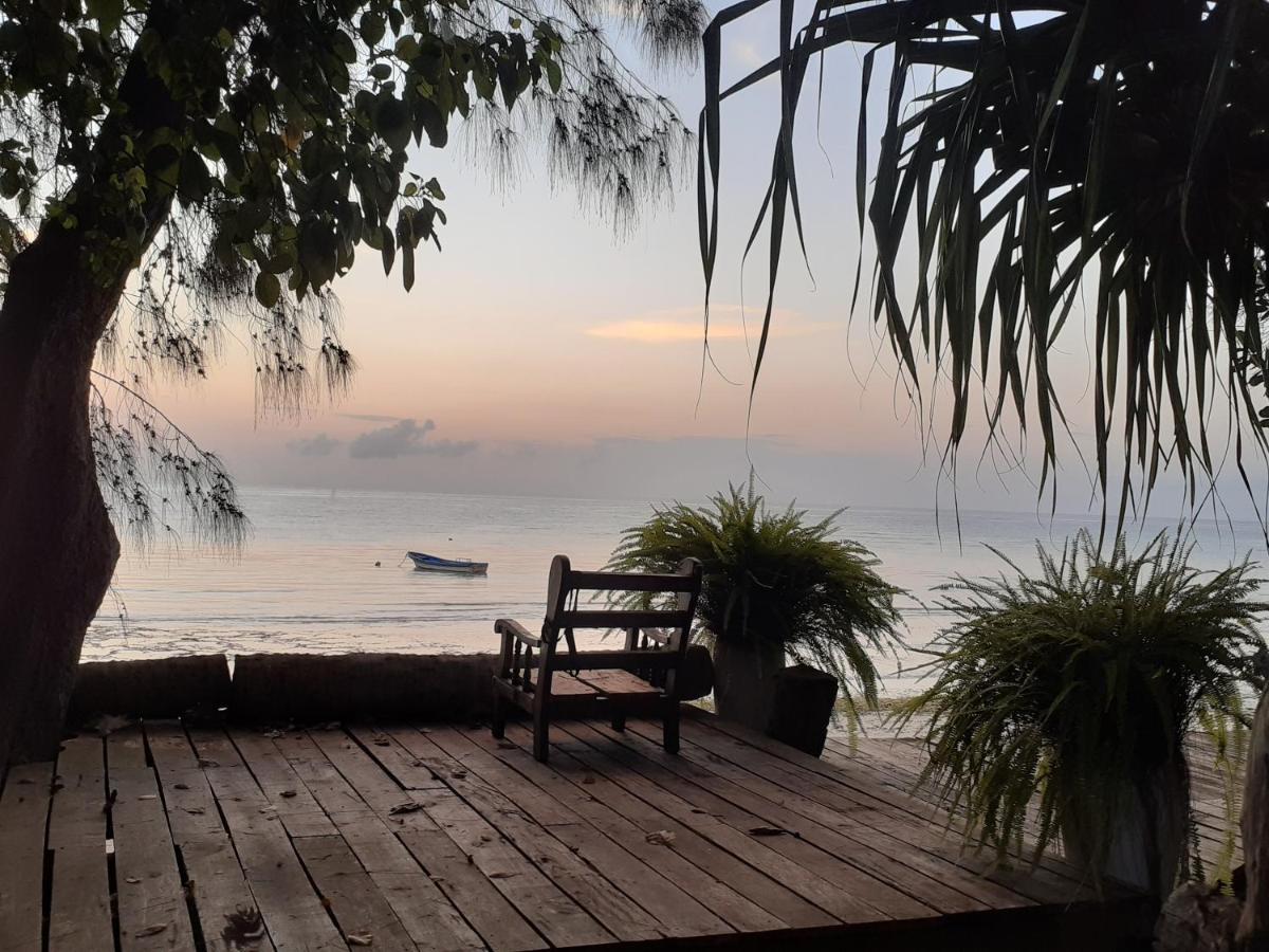Verani Gecko Nature Lodge Home Of Swahili Divers The Best Dive Center And Famous Gecko Restaurant מראה חיצוני תמונה