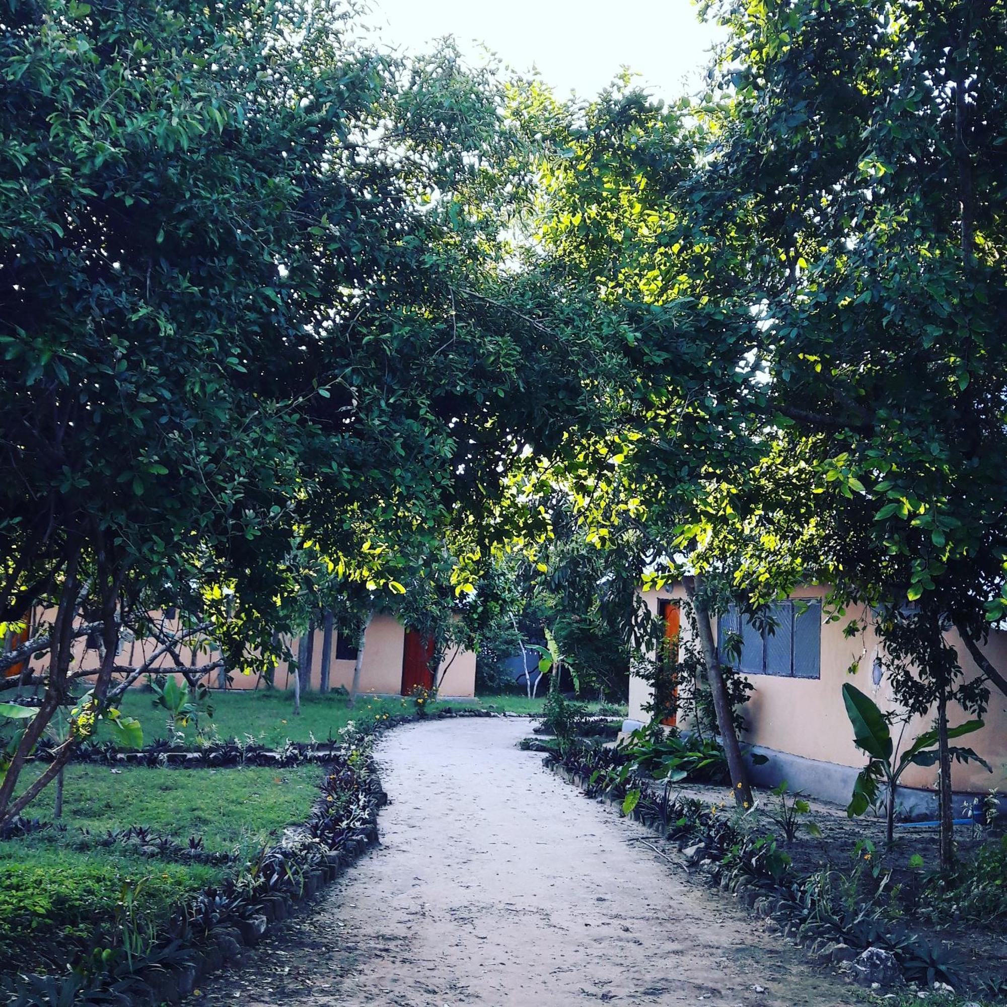 Verani Gecko Nature Lodge Home Of Swahili Divers The Best Dive Center And Famous Gecko Restaurant מראה חיצוני תמונה
