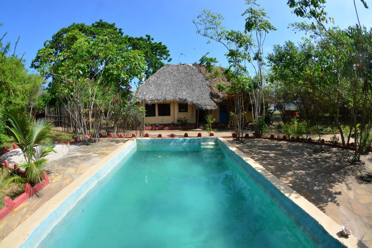 Verani Gecko Nature Lodge Home Of Swahili Divers The Best Dive Center And Famous Gecko Restaurant מראה חיצוני תמונה