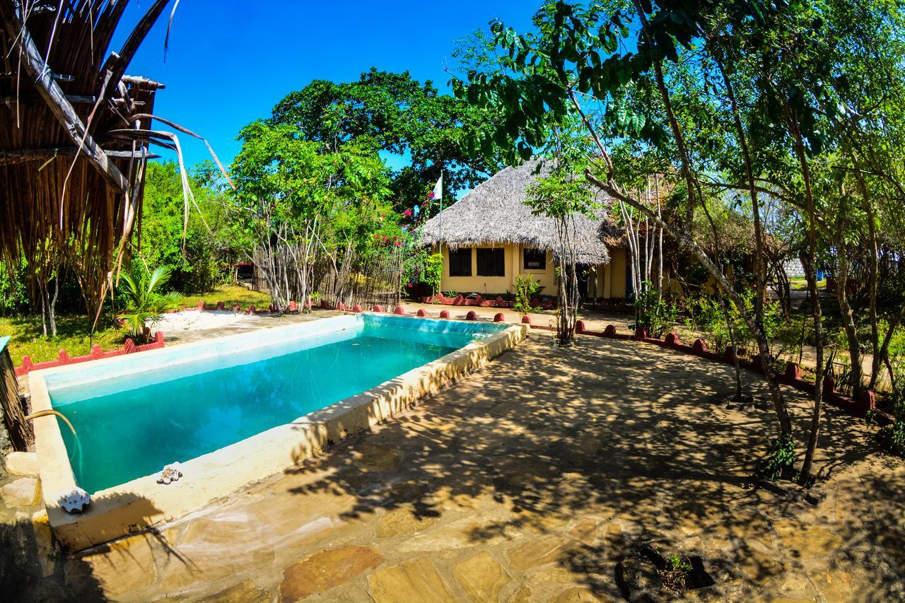 Verani Gecko Nature Lodge Home Of Swahili Divers The Best Dive Center And Famous Gecko Restaurant מראה חיצוני תמונה