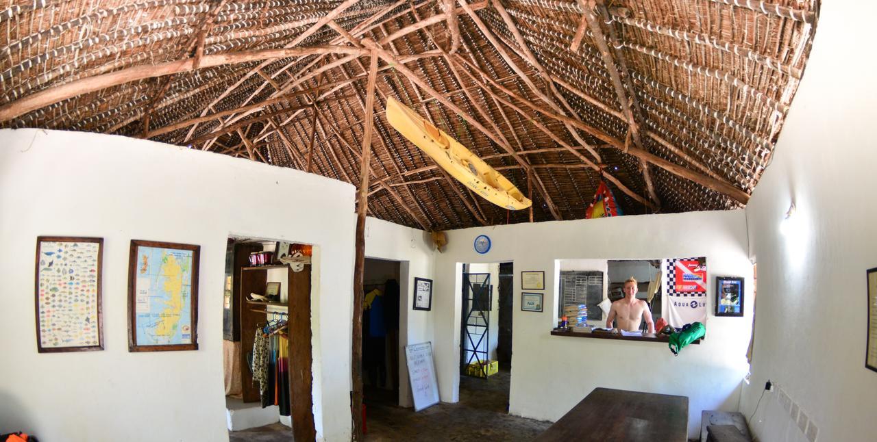 Verani Gecko Nature Lodge Home Of Swahili Divers The Best Dive Center And Famous Gecko Restaurant מראה חיצוני תמונה