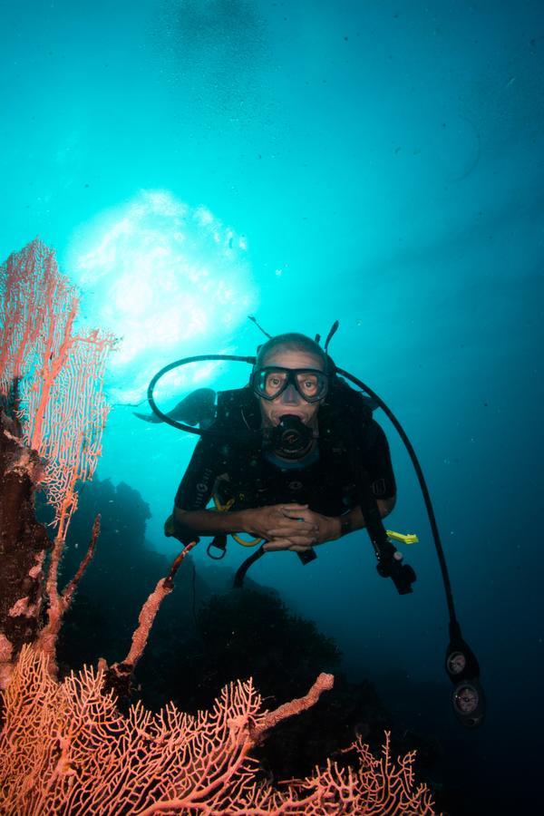 Verani Gecko Nature Lodge Home Of Swahili Divers The Best Dive Center And Famous Gecko Restaurant מראה חיצוני תמונה
