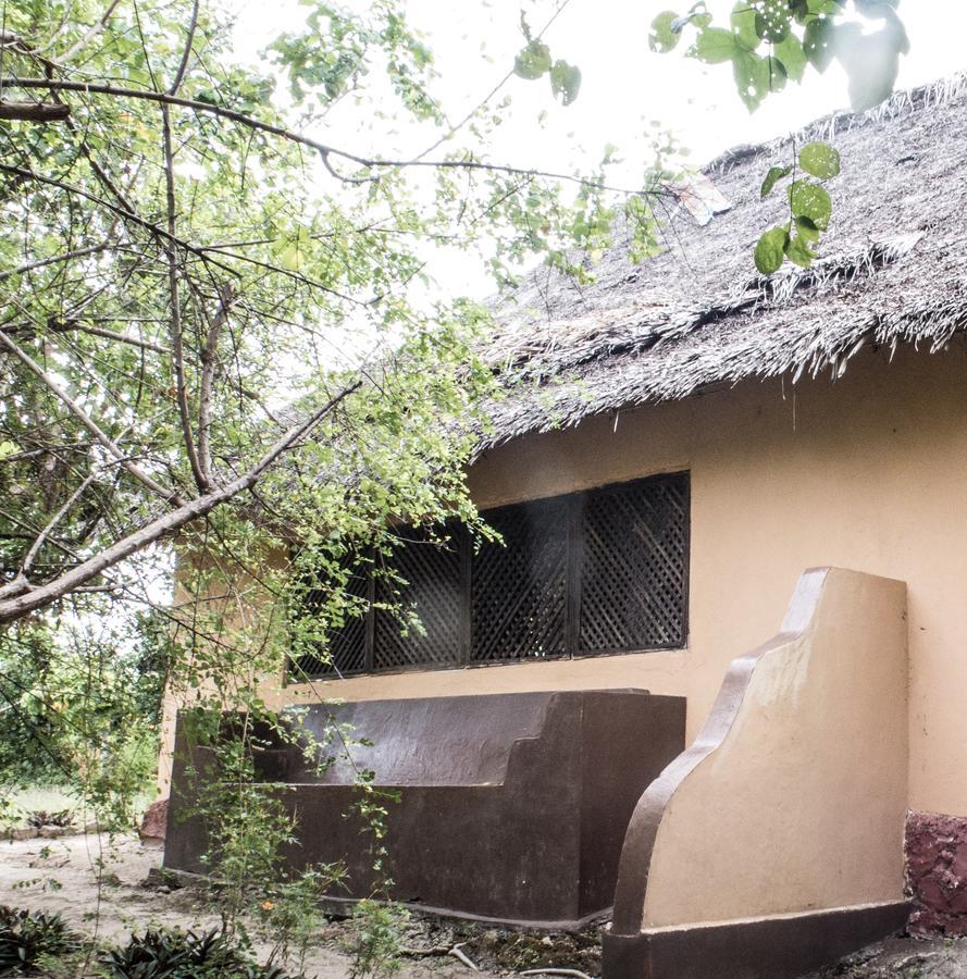 Verani Gecko Nature Lodge Home Of Swahili Divers The Best Dive Center And Famous Gecko Restaurant מראה חיצוני תמונה