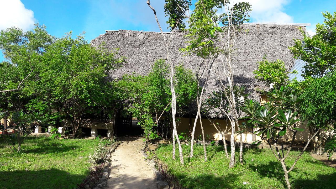 Verani Gecko Nature Lodge Home Of Swahili Divers The Best Dive Center And Famous Gecko Restaurant מראה חיצוני תמונה